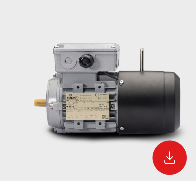 Technical Data Sheet Self-Braking Asynchronous Motors Series JMK-GMK IE2-IE3