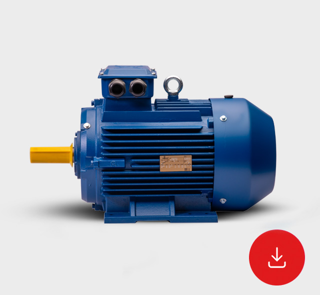 Technical Data Sheet Three-Phase Asynchronous Motors Series JMD-GMD IE4