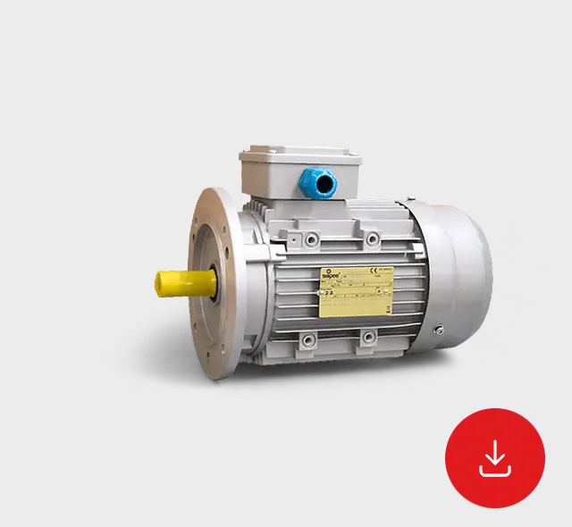 Technical Data Sheet Three-Phase Asynchronous Motors Atex Series AX