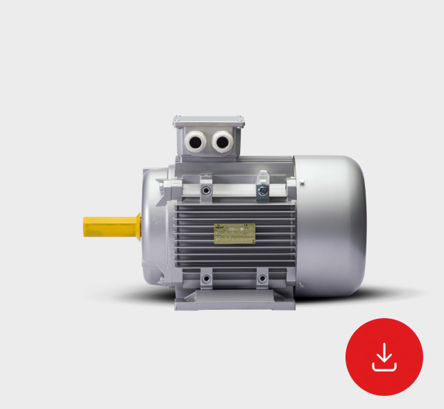 Technical Data Sheet Three-Phase Motors Series JM-GM IE4