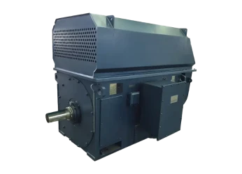 Medium and High Voltage Motors