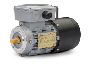 Self-braking Asynchronous Motors